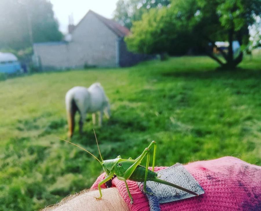 Maison De Campagne Dans Village De Nature Écourt-Saint-Quentin Eksteriør bilde